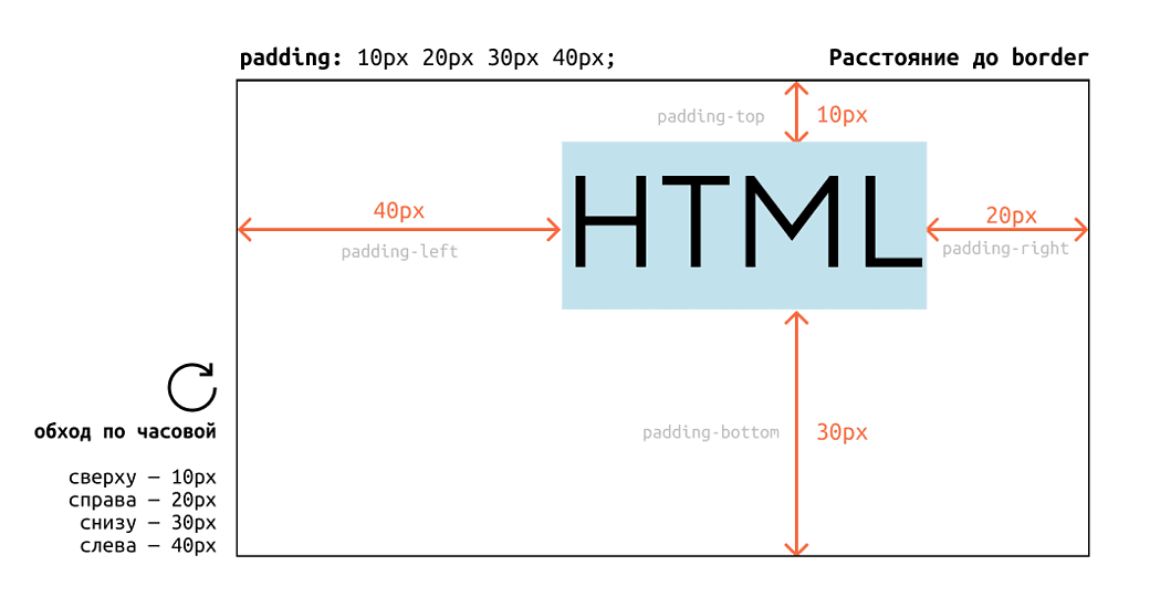 Чем отличаются padding и margin