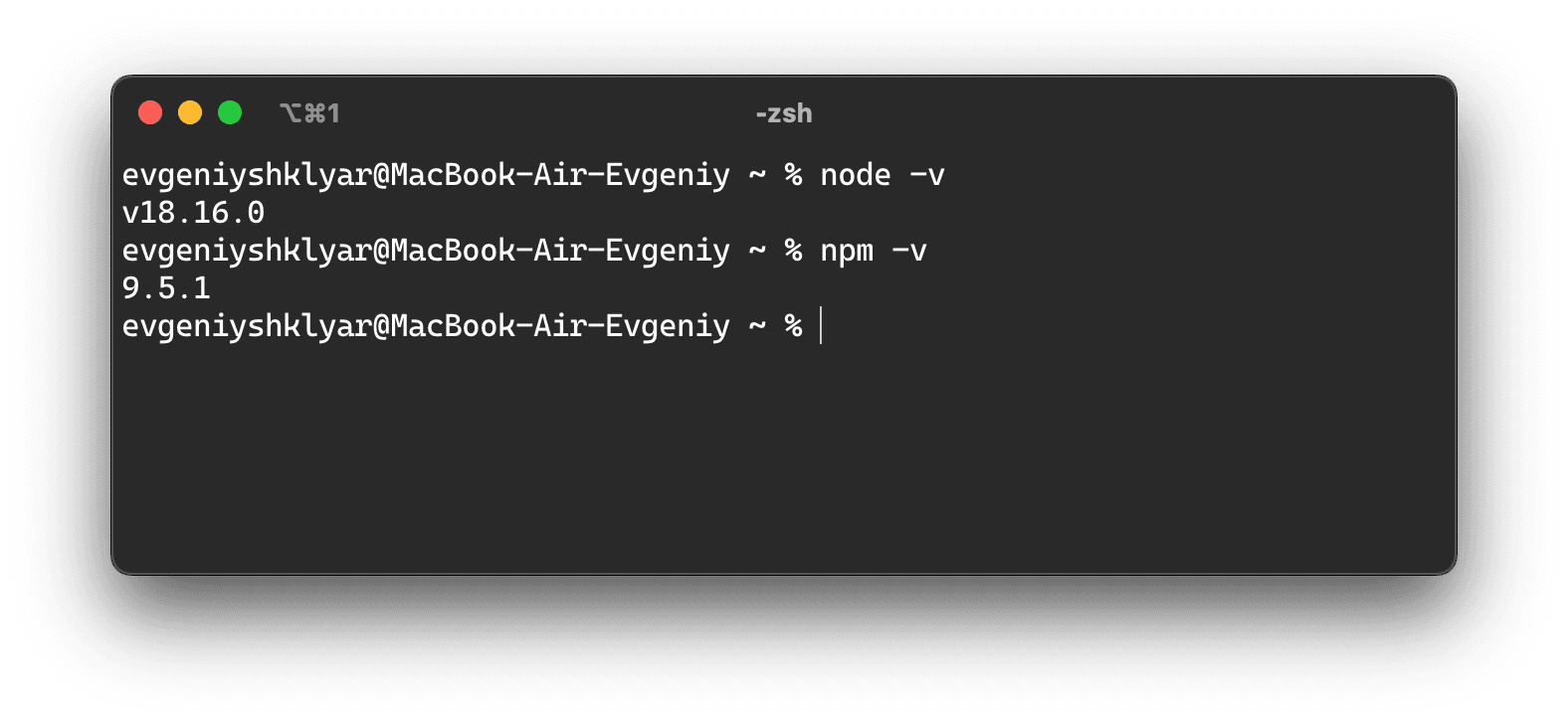 Проверка версии node.js. На скриншоте Node.js 18.16.0 и npm 9.5.1.
